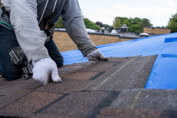 Best Rubber Roofing (EPDM, TPO)  in Lewisburg, OH